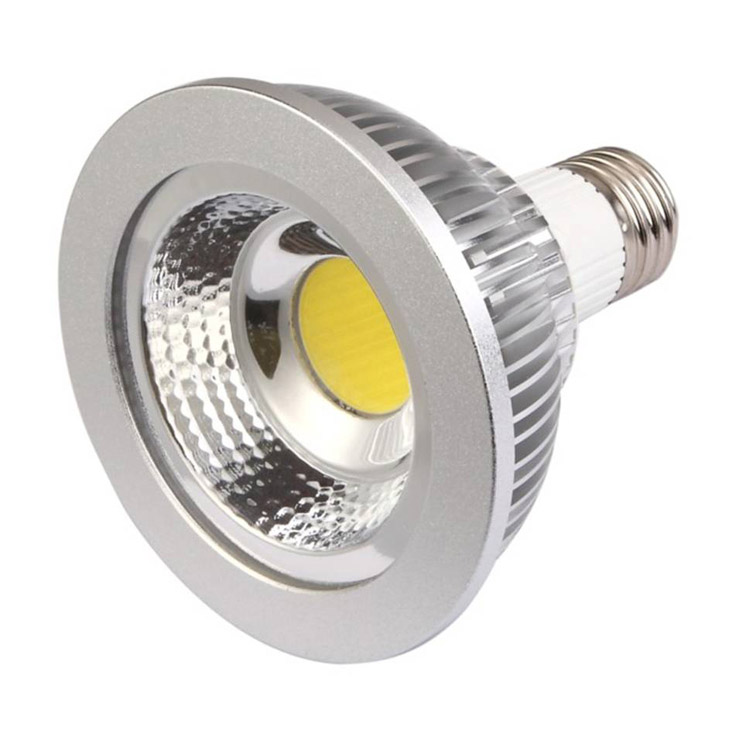 COB LED Spot light PAR30 10W